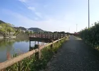 新稲三池の写真・動画_image_159856