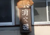 スナック麻胡の写真・動画_image_162555
