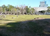 大垣公園の写真・動画_image_162725