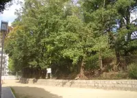 御勝山古墳の写真・動画_image_162812