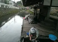 日本一恥ずかしい露天風呂の写真・動画_image_163051