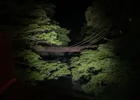 祖谷のかずら橋の写真・動画_image_1641549