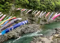 大歩危の写真・動画_image_1641632