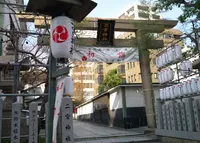 二宮神社の写真・動画_image_164838
