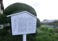 淡輪邸跡の写真・動画_image_166206