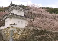 龍野城の写真・動画_image_168986