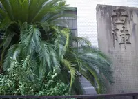 京都市考古資料館の写真・動画_image_170983