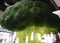 渋谷ロフトの写真・動画_image_171243
