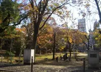 生玉公園の写真・動画_image_173900