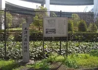 木津川飛行場跡の写真・動画_image_174351