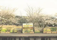 国吉駅の写真・動画_image_174442