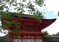 下鴨神社（賀茂御祖神社）の写真・動画_image_175476