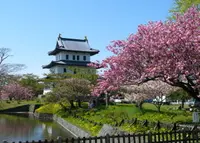 松前城の写真・動画_image_175589