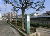 西除川遊歩道の写真・動画_image_175717