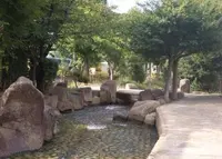 今川のせせらぎの写真・動画_image_176001