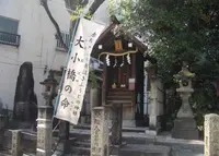 大小橋命の写真・動画_image_176099