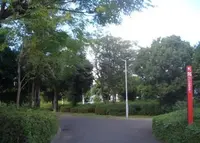 なにわ自転車道の写真・動画_image_177807