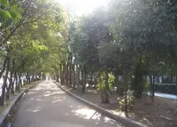 大野川歩行者専用道路の写真・動画_image_177808