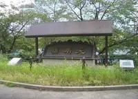 天満橋の写真・動画_image_178036