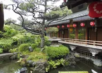 茶ろん 上七軒の写真・動画_image_178674