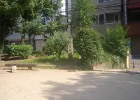 薩摩堀公園の写真・動画_image_178784