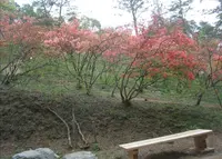 寄居町役場 観光協会の写真・動画_image_178830