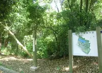 山田池公園の写真・動画_image_178898