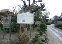 顕本寺の写真・動画_image_179070