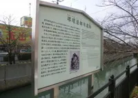 堺環濠都市遺跡の写真・動画_image_179072