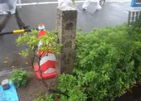 晴明辻の写真・動画_image_179155