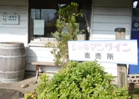 シャルマンワインの写真・動画_image_181565