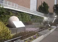 岡東中央公園の写真・動画_image_181961