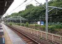 飛鳥山公園の写真・動画_image_182312