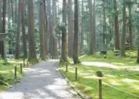 平泉寺白山神社の写真・動画_image_183572