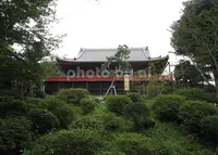 清水観音堂の写真・動画_image_185047