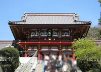 鶴岡八幡宮の写真・動画_image_185082