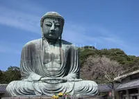鎌倉大仏（高徳院）の写真・動画_image_185083