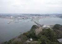 江の島の写真・動画_image_185621