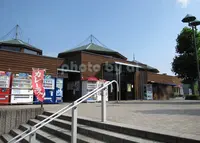 道の駅さとみの写真・動画_image_185854