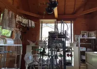 雑貨屋いちごやの写真・動画_image_187099