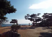 唐崎神社の写真・動画_image_188322