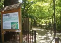 瑞宝寺公園の写真・動画_image_188344