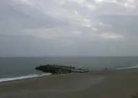 桂浜の写真・動画_image_189300