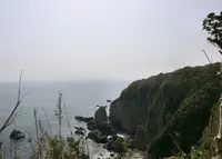 足摺岬の写真・動画_image_189306