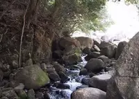 筑紫耶馬渓の写真・動画_image_190325