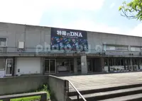 福島ガイナックスの写真・動画_image_192860