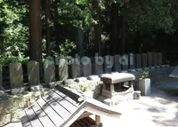 飯盛山の写真・動画_image_192865