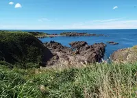 鬼の俵転がしの写真・動画_image_193211