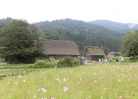 長瀬家の写真・動画_image_196076