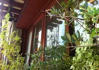 La pagnottaの写真・動画_image_196288